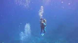 Sandals Royal Bahamian (Nassau, Bahamas) Scuba Diving Day2 - 1/11/26