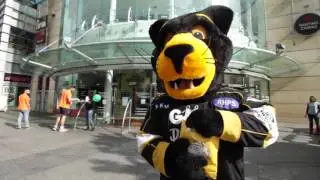 Broadmarsh parking panthers advert