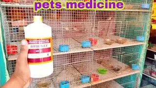 AMBIPLEX pets medicine information,