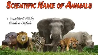 Scientific name of Animals | one shot | MCQs | hindi & english 