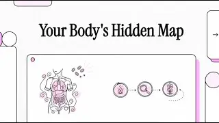 Your Body s Hidden Map - HOBA