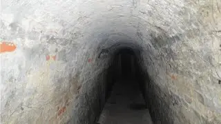 Ratujcie Syna Wdowy