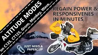 Сброс ЭБУ и настройки высоты: C125, CT125, Grom, Monkey, Wave 125i