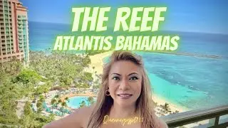 The Reef at Atlantis Bahamas / Oceanview Studio Suite