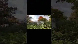 MOVING PICTURE #shorts #art #gallery #nothing #xxx #short