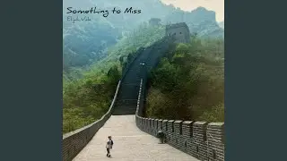 Something to Miss