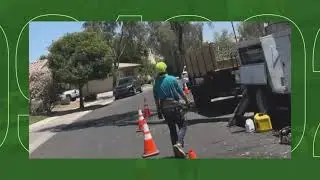 Tree Toppers Expert Tree Trimming | Free Estimates Tree Service Near Me