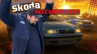 🚗БЕССМЕРТНАЯ Skoda? Я НАШЕЛ ЕЁ! Skoda Felicia Рест / Купить авто в Беларуси