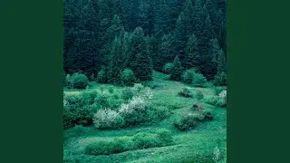 Debussy : Rêverie L. 68