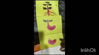 Kv project 2 std mukthi and moksha 