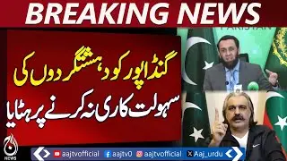 Ali Amin Gandapur Removed | Terror Support Allegations | Ata Tarrar Statement - Pakistan news