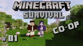 Minecraft Survival #01 Co-Op [mit EpisodeOneLP]