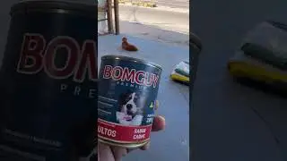 PRODUTOS LINHA BOMGUY &Eacute; TOP?