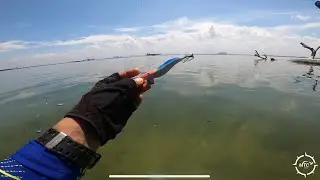 MANCING CUMI DI PULAU BIDADARI || MANCING CUMI DI PULAU SERIBU || UMPAN IDAMAN CUMI