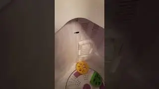 Washer spinner instructions 2