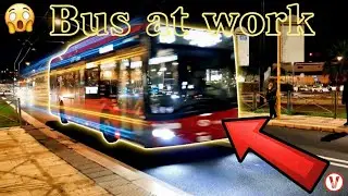 ROME ON THE MOVE: ATAC & COTRAL Bus Action Day and Night! 🚌💨