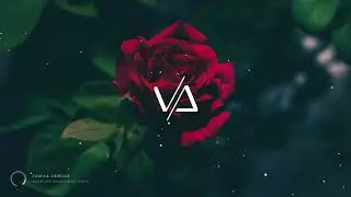 Camila Cabello - Shameless (Beutos & Vlt Remix)