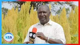 Makueni County gears up for agricultural show