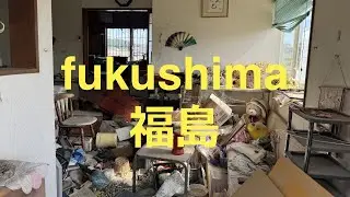 the situation near fukushima's nuclear plant in 2025