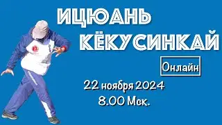 Ицюань / Кёкусинкай / Ченбао Чжуан / Няо Нань Фей / Удары кулаком / Перемещения (22.11.24)