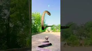 Akaal mrutyu Chandaal ka jo bigade Mahakal ka #trending #youtubeshorts #viralvideo #viral