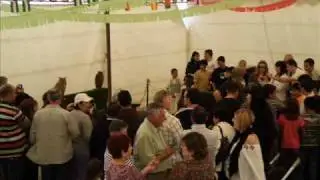 Murtas_fiestas aves.wmv