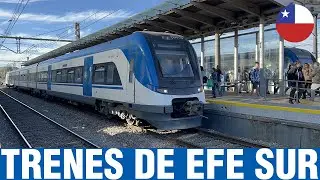EFE Sur | Trenes SFE-100 (Febrero 2024)