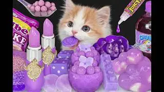 Cute Kitten Surrounded by Purple Candy, Sweets and Makeup | Aesthetic Kawaii Cat Photo😺💜