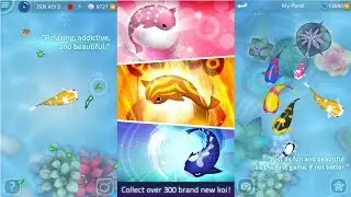 Zen Koi 2 Android Gameplay