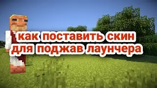 как правильно поставить скин для поджав лаунчер
