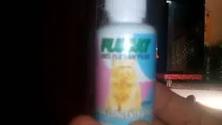 Obat flue pilek flue cat dan obat u diare u kucing