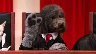#RealAnimalsFakePaws