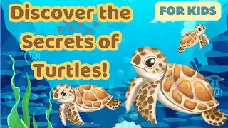 WOW! Fun Turtle Facts Kids Need to Know 🐢✨| Discover the Incredible World of Turtles