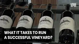 How to Create Wine in Virginia&rsquo;s wineries