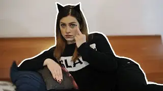 SE I GATTI FOSSERO UMANI