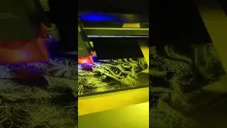 Laser Engraving Canvas Dragon - Xtool D1 Pro