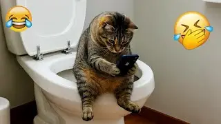 You Laugh You Restart 💝 Funniest Cats and Dogs 2026 🐩 😆 Part 11