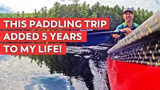 Solo Wilderness Camping Trip  | Canoe Camping in Algonquin Park