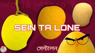 SEIN TA LONE - No. 1 Commercial Variety From Myanmar| A Complete Review|