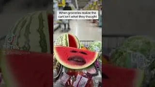 When groceries realize the cart isn&rsquo;t what they thought #funny #watermelon