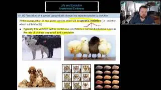 Lesson 4 - Speciation