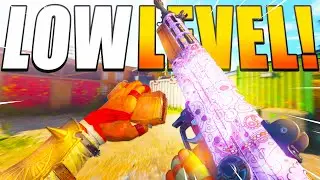 the NEW MAX DAMAGE 