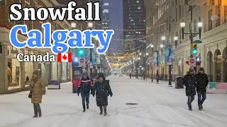 Snowfall in Calgary Alberta Canada on February 2026