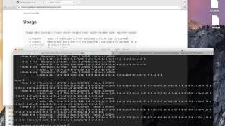 Demonstration of spiking neural network implementation