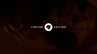 Limited Edition Vivo Life Perform Plant Protein - Gingerbread Flavour