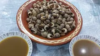 حلزون (غولال-ببوش) بالعشوب الذيذ طريقة ساهلة