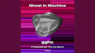 Ghost in Machine