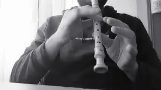 Taylor Swift Style Recorder Flute Tutorial but WEIRD (With Subtitles notes)
