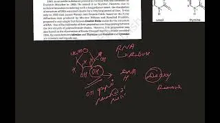 Structure of polynucleotide chain | Molecular basis of inheritance | NEET | part - 5
