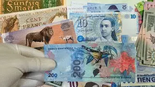 The Best Paper Money Hunt This Year!!! This Is A Super Rare Beautiful Banknotes!!!